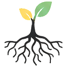 Roots